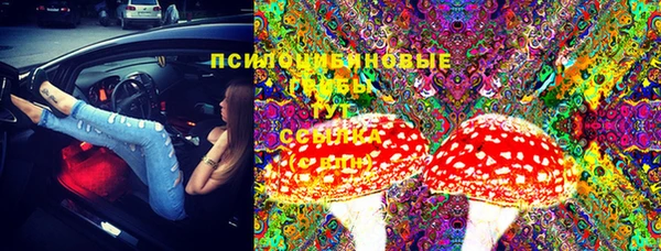 первитин Белокуриха